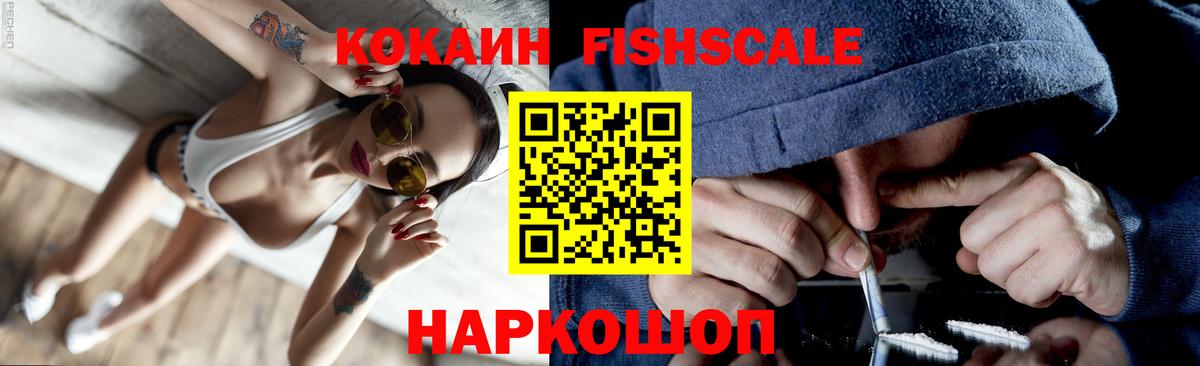 Cocaine Fish Scale  Вход с VPN  Арсеньев  Cocaine  Cocaine 98% 