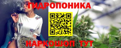 амф Кингисепп
