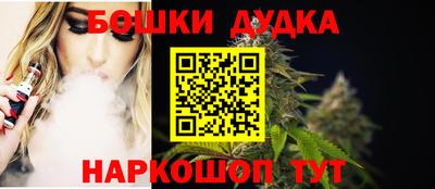 амф Кингисепп