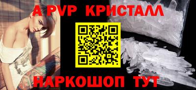 амф Кингисепп