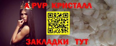 амф Кингисепп