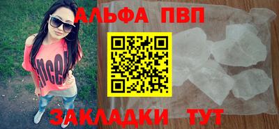 амф Кингисепп